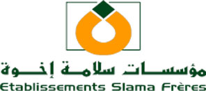 SLAMA FRERES Cabinet D audit Et De Conseil En nergie